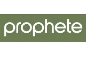 Singles Day bei Prophete